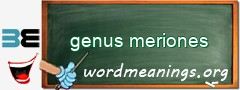 WordMeaning blackboard for genus meriones